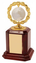 Decorative trophy with gold and wooden design on a white background