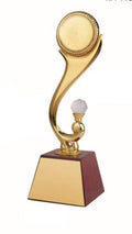 Gold Finish Champion Trophy for School & Corporate Events