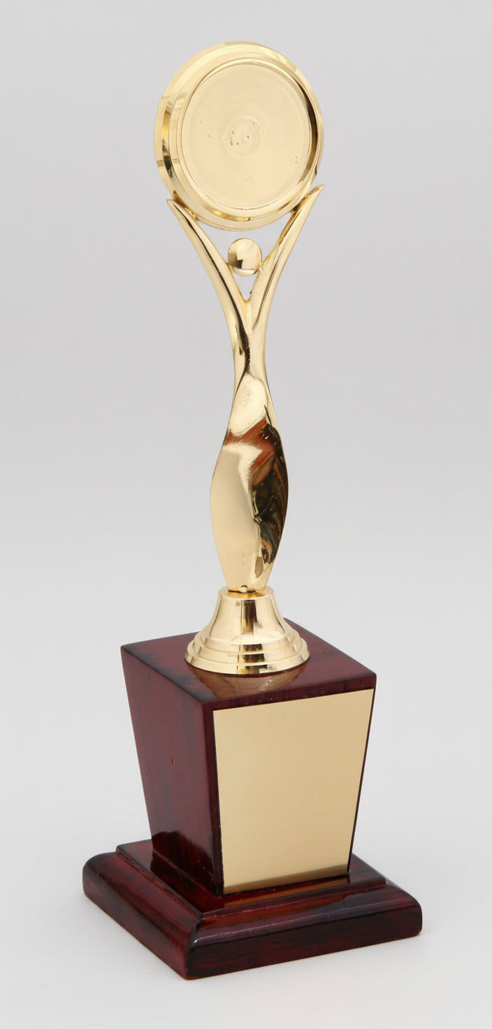 Gold trophy with wooden base on a white background