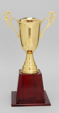 TS567