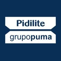 Pidilite Grupopuma